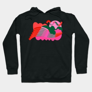 Pink stripe abstract Hoodie